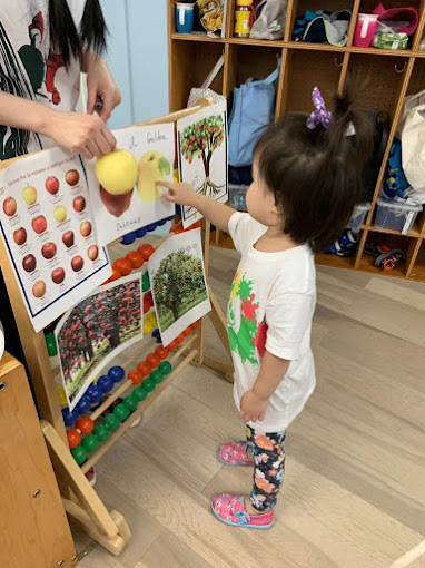 Cultivating Curiosity & Growth